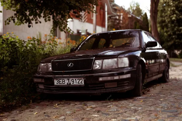 Casino Campo Bet Android/iOS-app